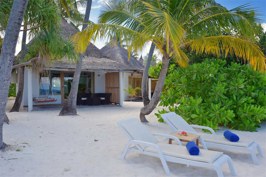 安嘎嘎岛 - 高级沙滩平房图片3 - Angaga Island Resort Superior Beach Bungalow Photo 3