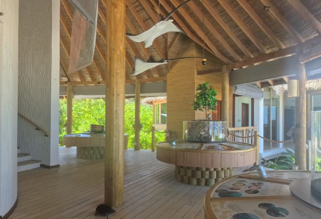 六善拉姆 - 海洋博物馆图片1 - Six Senses Latitude Laamu Oceanographic Museum Photo 1