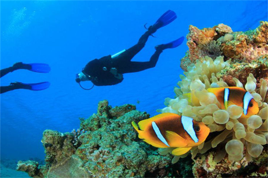 莱佛士 - 浮潜图片1 - Raffles Maldives Meradhoo Diving Photo 1