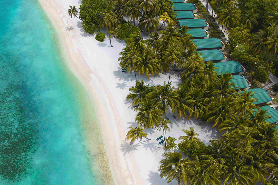 蜜月 - 沙滩别墅图片1 -  Meeru Island Resort Beach Villa Photo 1