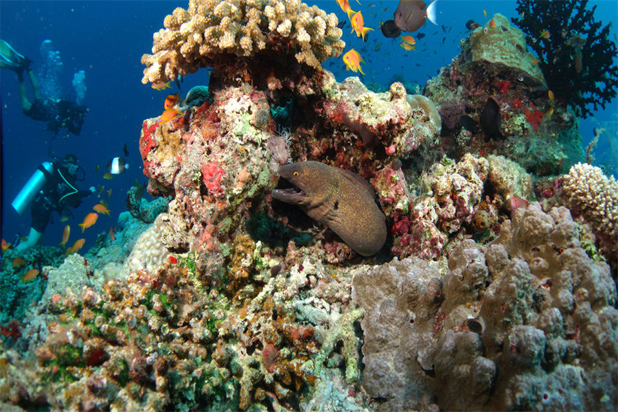 四季沃亚瓦私人岛 - 潜水中心图片2 - Four Seasons Private Island Maldives At Voavah Diving Center Photo 2