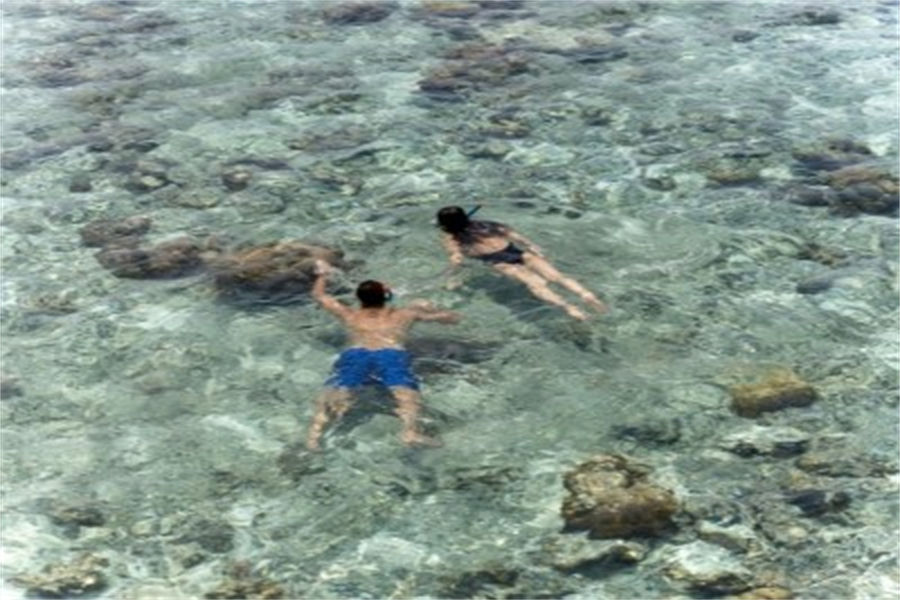 瓦度 - 潜水图片1 - Adaaran Prestige Vadoo lsland Resort Diving Photo 1