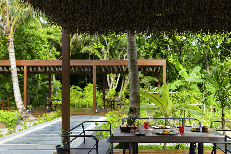 铂尔曼  - 素食餐厅图片3 - Pullman Maldives Maamutaa Resort Phat Chameleon Photo 3