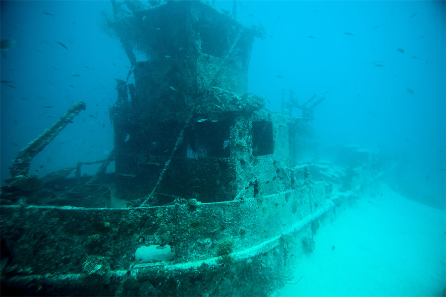 泰姬珊瑚 - 潜水图片1 - Taj Coral Reef Resort & Spa Diving Photo 1