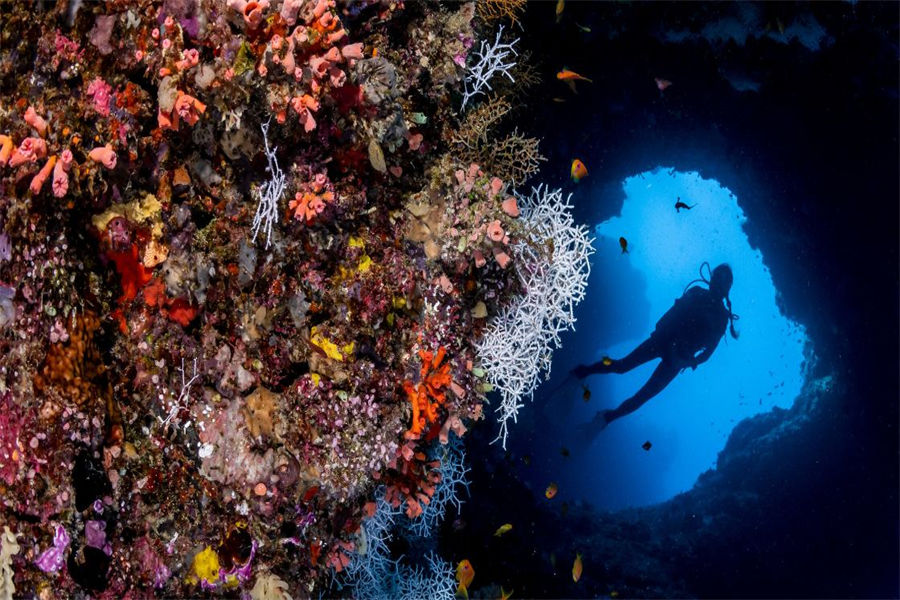 玛丽富士 - 潜水活动图片2 - Maalifushi by COMO，Maldives Diving Photo 2