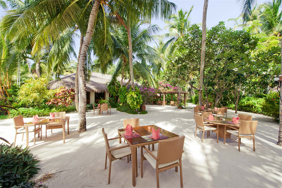 库拉玛蒂 - 岛屿咖啡店图片1 - Kuramathi Resort Maldives Island Coffee Shop Photo 1