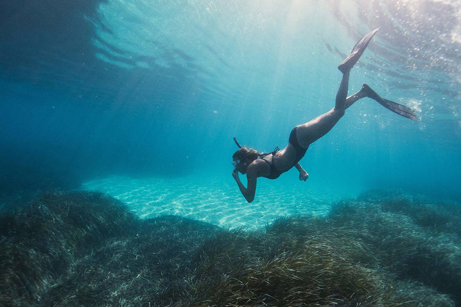 迪格瑞 - 浮潜图片1 - Nakai Dhiggiri Resort Snorkeling Photo 1