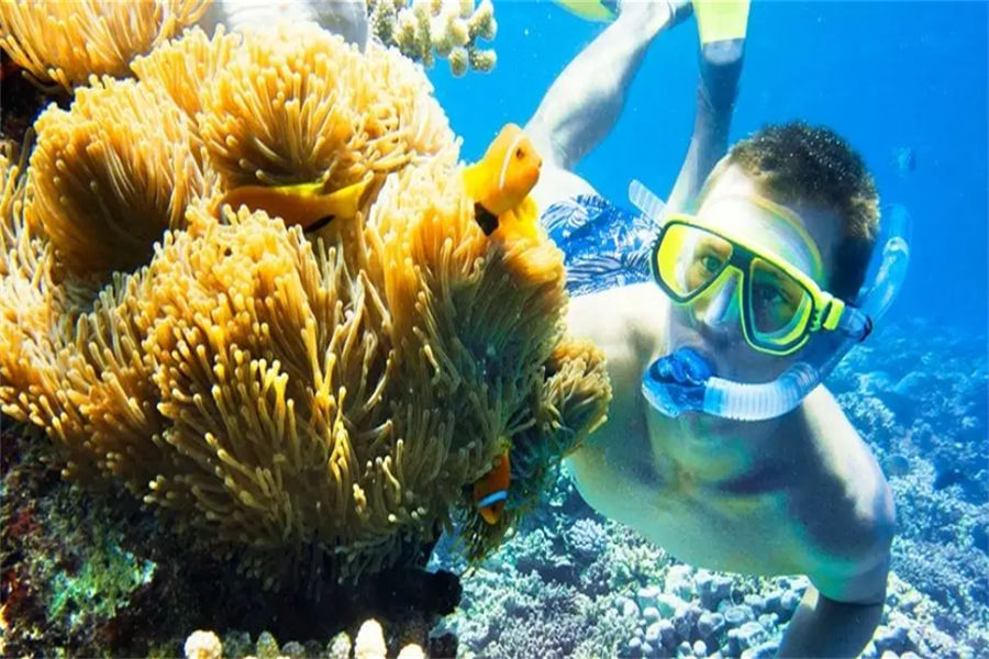 瓦宾法鲁 - 潜水中心图片1 - Banyan Tree Vabbinfaru Diving Center Photo 1