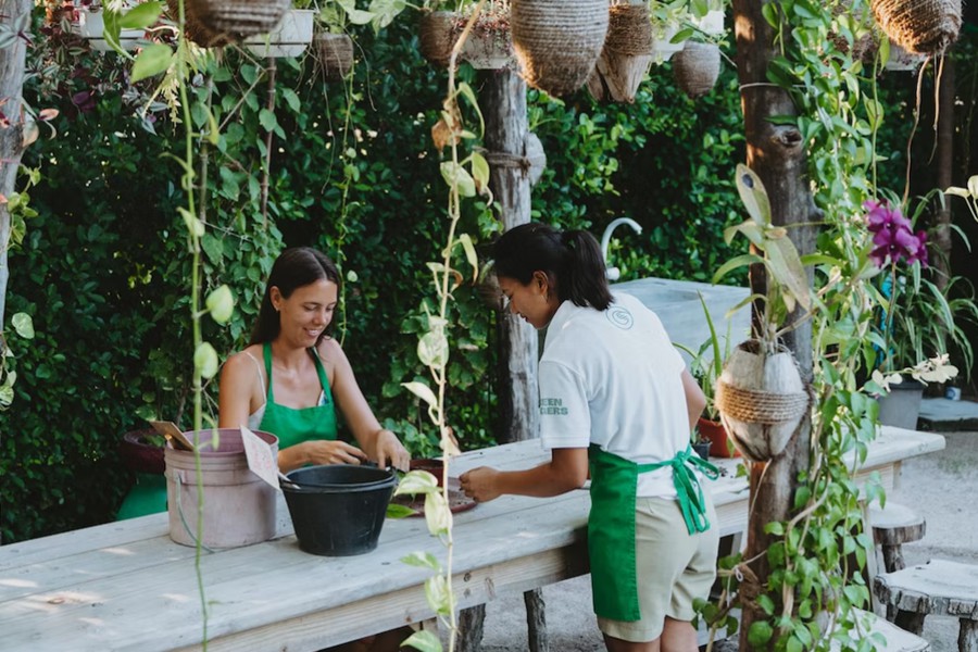 别墅公园岛（太阳岛） - 有机花园图片2 - Villa Park, Sun Island Green Fingers Photo 2