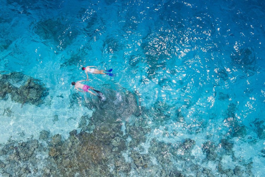 奥臻瑞泽铂丽富士 - 水上活动和潜水图片3 - Ozen RESERVE Bolifushi activity Photo 3