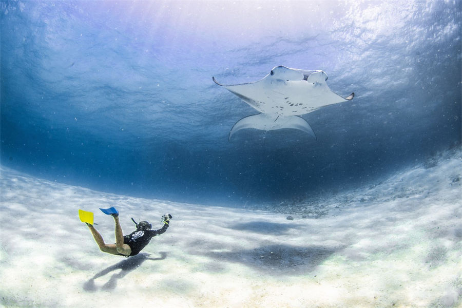 洲际 - 海洋探索中心图片2 - InterContinental Maldives Maamunagau Marine Exploration Center Photo 2