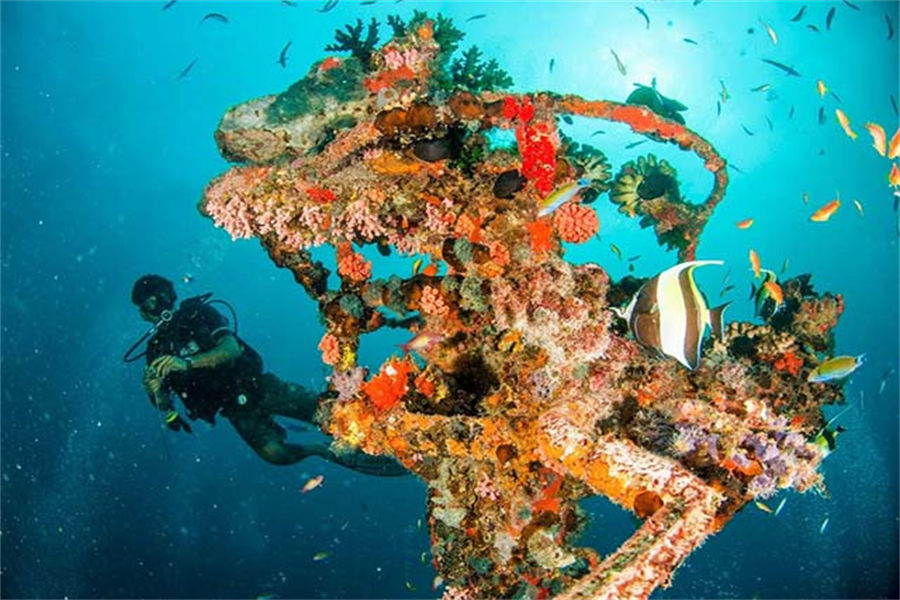 中央格兰德 - 潜水和水上运动图片4 - Machchafushi Resort&Spa Maldives Diving & Water Sports Photo 4
