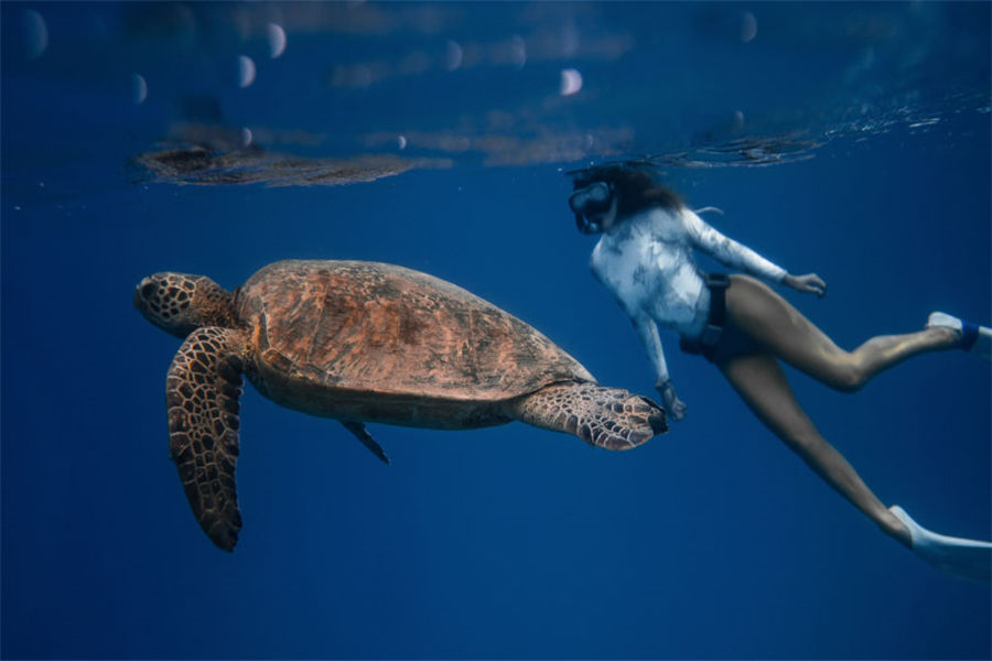 柏悦哈达哈 - 潜水图片2 - Park Hyatt Maldives Hadahaa Diving Photo 2