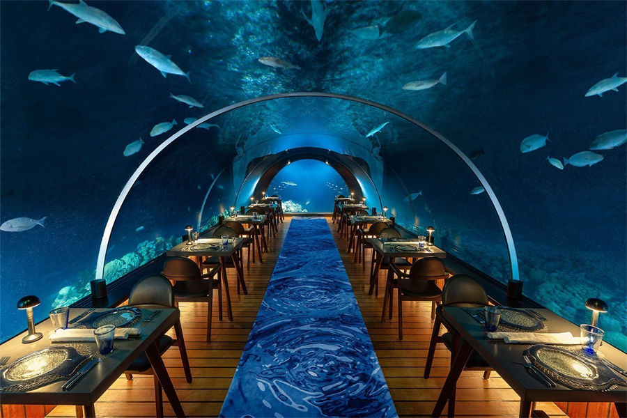 芙拉瓦丽 - 5.8水下餐厅图片2 - Hurawalhi Maldives 5.8 Undersea Photo 2