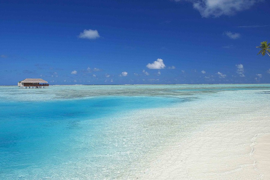 曼德芙仕 - 泻湖套房图片4 -  Medhufushi lsland Resort Lagoon Suites Photo 4