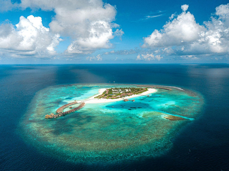 布伦尼亚马尔代夫度假村全景 - Brennia Kottefaru Maldives Resort