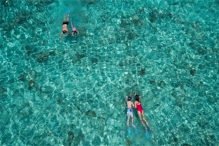 安纳塔拉笛古 - 潜水图片3 - Anantara Dhigu Resort & Spa Diving Photo 3