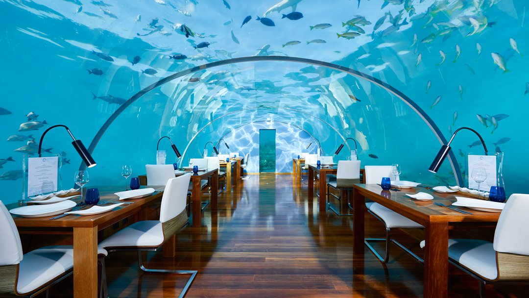 港丽度假村图片1 - Conrad Maldives Rangali lsland Resort Photo 1
