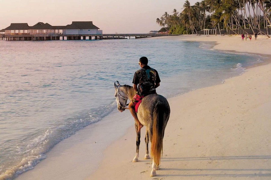 禧亚世嘉 - 马术俱乐部图片2 - Siyam World Maldives Hourse Photo 2