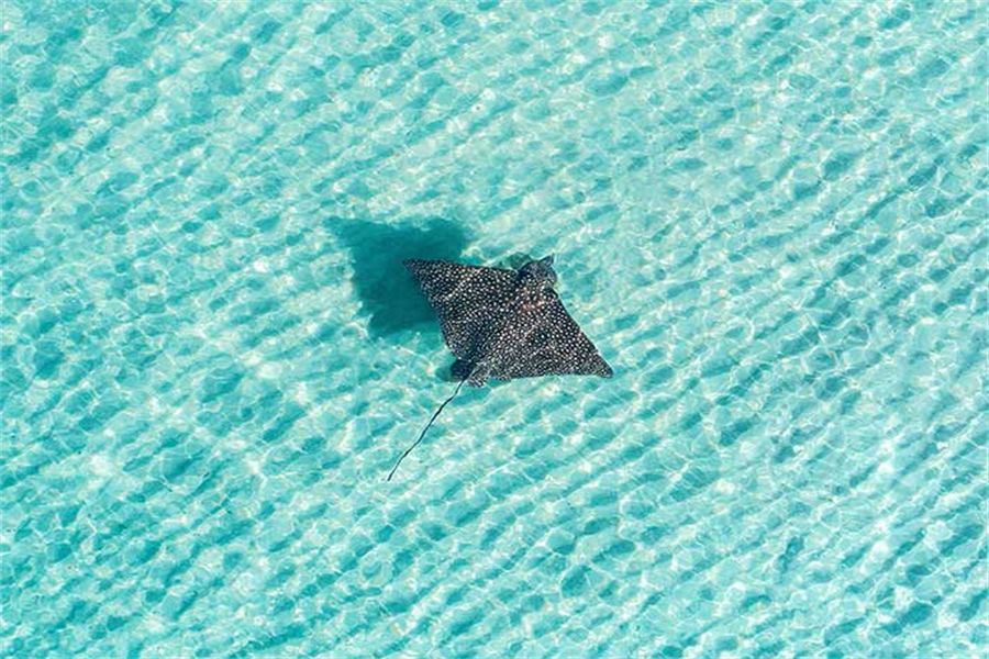 马蒂富士私人岛 - 水上活动中心图片2 - Madifushi Private Island Funaqua Photo 2
