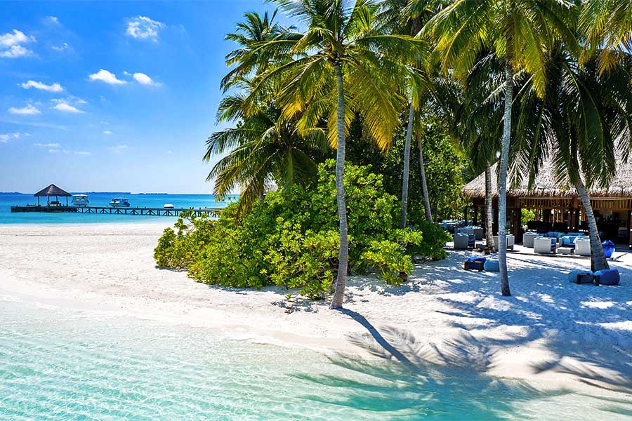 蜜莉喜岛 - ANBA 酒吧图片2 - Mirihi Island Resort ANBA  Photo 2