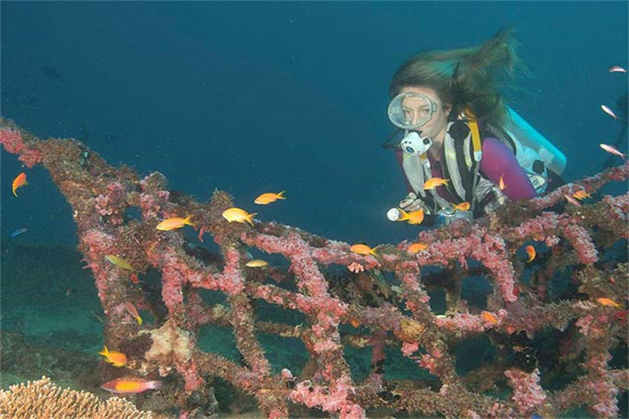 中央格兰德 - 潜水和水上运动图片1 - Machchafushi Resort&Spa Maldives Diving & Water Sports Photo 1