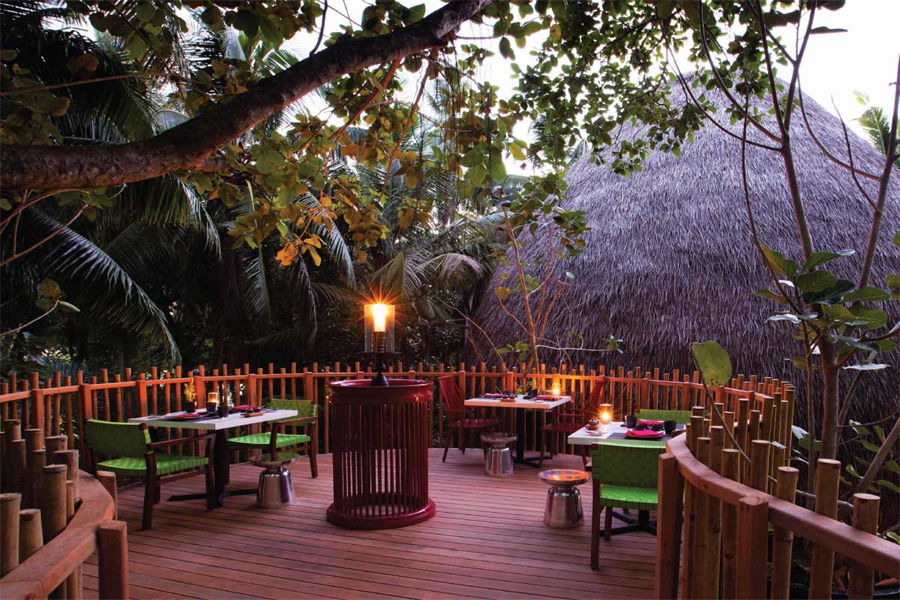 尼亚玛 - 树屋餐厅图片2 - Niyama Private Islands Maldives Nest Photo 2