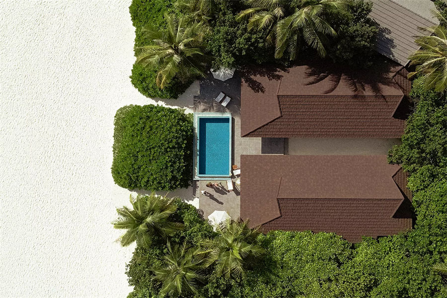 芙拉瓦希 - 双卧海洋沙滩泳池别墅图片1 - The Standard，Huruvalhi Maldives 2 Bedroom Ocean Beach Pool Villa Photo 1
