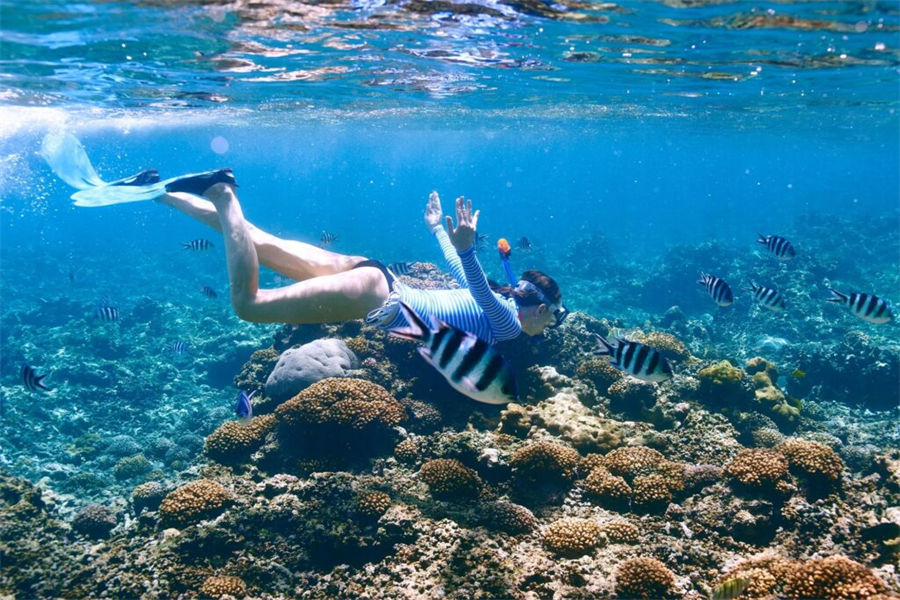 柏悦哈达哈 - 潜水图片1 - Park Hyatt Maldives Hadahaa Diving Photo 1