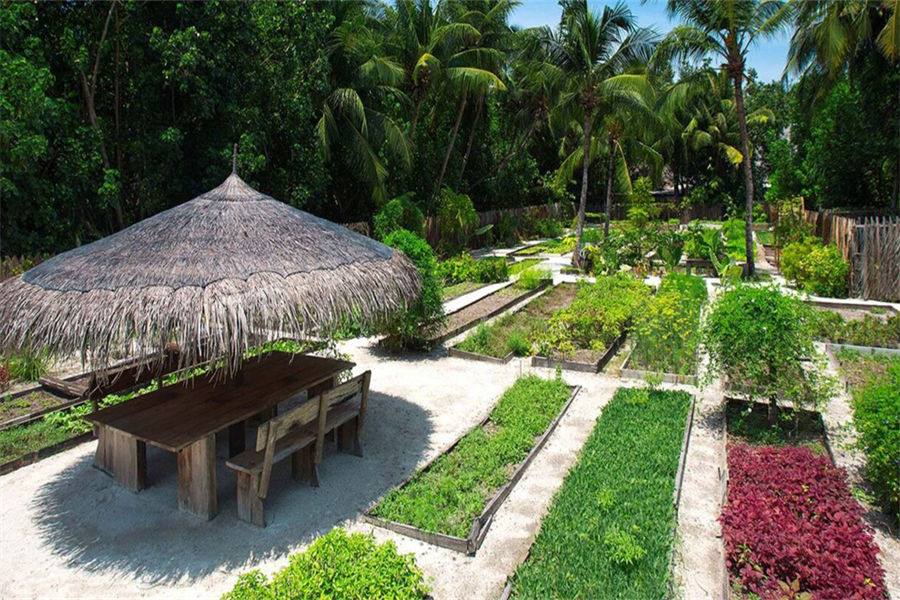 姬丽兰卡富士 - 有机菜园图片1 - Gili Lankanfushi Maldives Organic Garden Photo 1