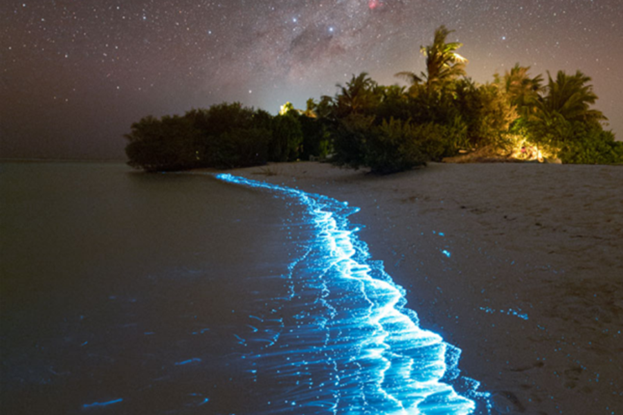 索尼娃秘密 - 探索星空图片2 - Soneva Secret Out of This World Photo 2