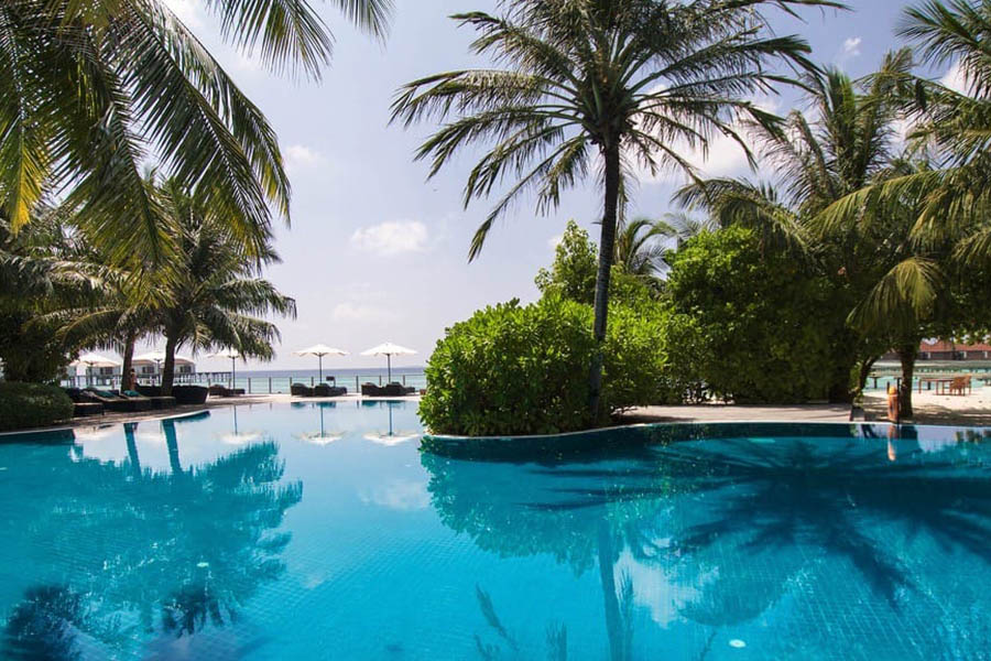 鲁滨逊 - 泳池吧图片3 - Robinson Club Maldives Pool Bar Photo 3