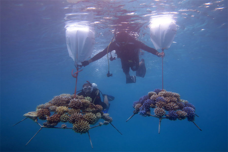 四季沃亚瓦私人岛 - 潜水中心图片4 - Four Seasons Private Island Maldives At Voavah Diving Center Photo 4
