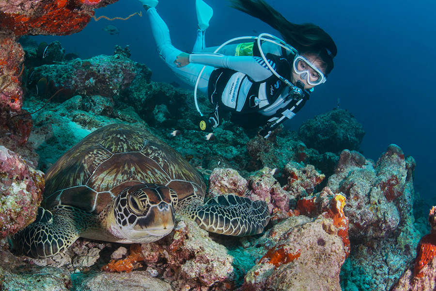 蜜月 - 水上运动及浮潜图片3 -  Meeru Island Resort Diving & Water Sports Photo 3
