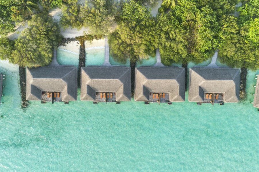 泰姬珍品 - 泻湖海景别墅图片1 - Taj Exotica Resort & Spa Lagoon Villa Ocean View Photo 1