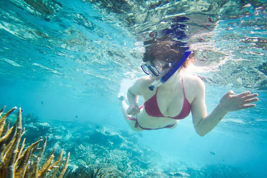鲁滨逊 - 浮潜图片2 - Robinson Club Maldives Snorkeling Photo 2