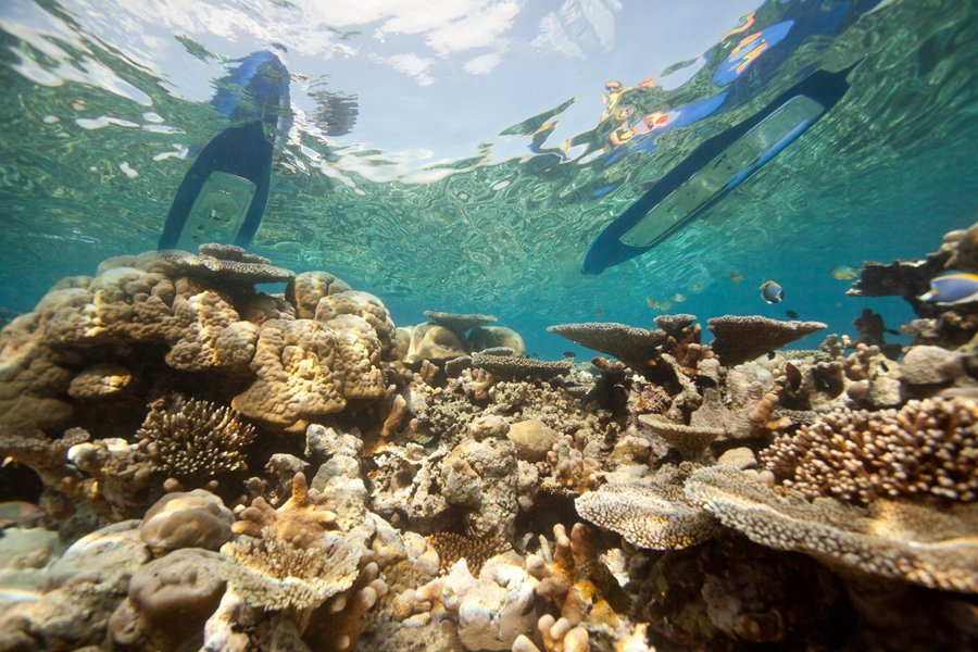 伊露富士（伊露） - 水上活动和潜水图片2 - Sun Siyam Iru Fushi Dive Centre Photo 2