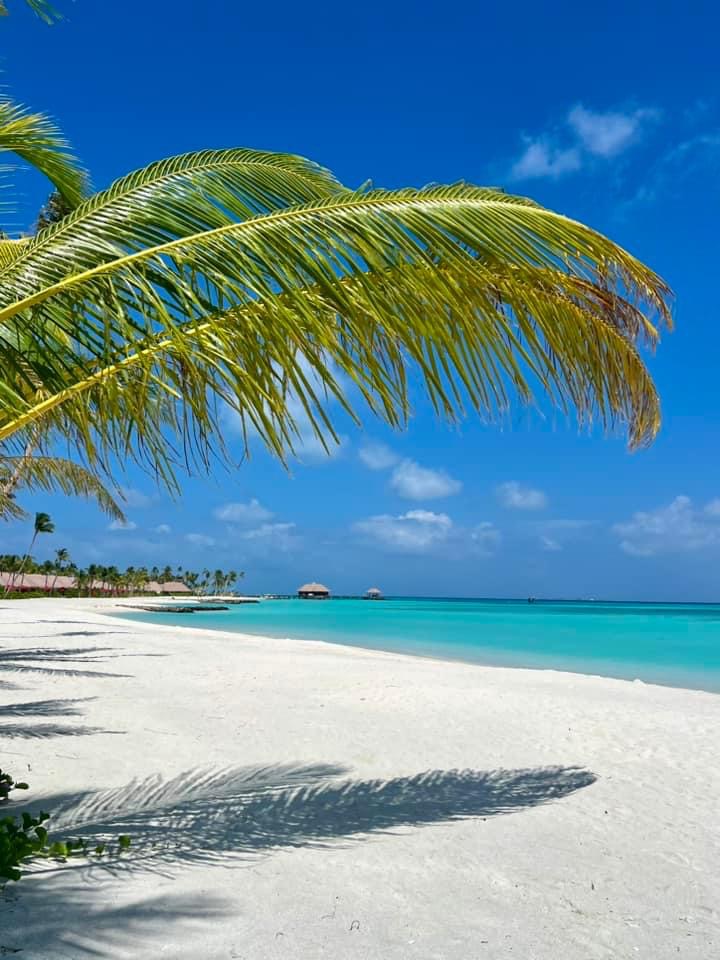 巴塞罗度假村度假村图片7 - Barcelo Whale Lagoon Maldives Resort Photo 7