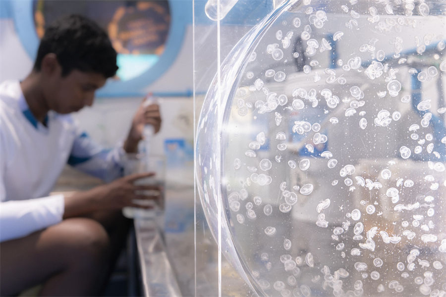 四季兰达吉拉瓦鲁 - 海洋探索中心图片1 - Four Seasons Landaa Giraavaru Marine Exploration Center Photo 1