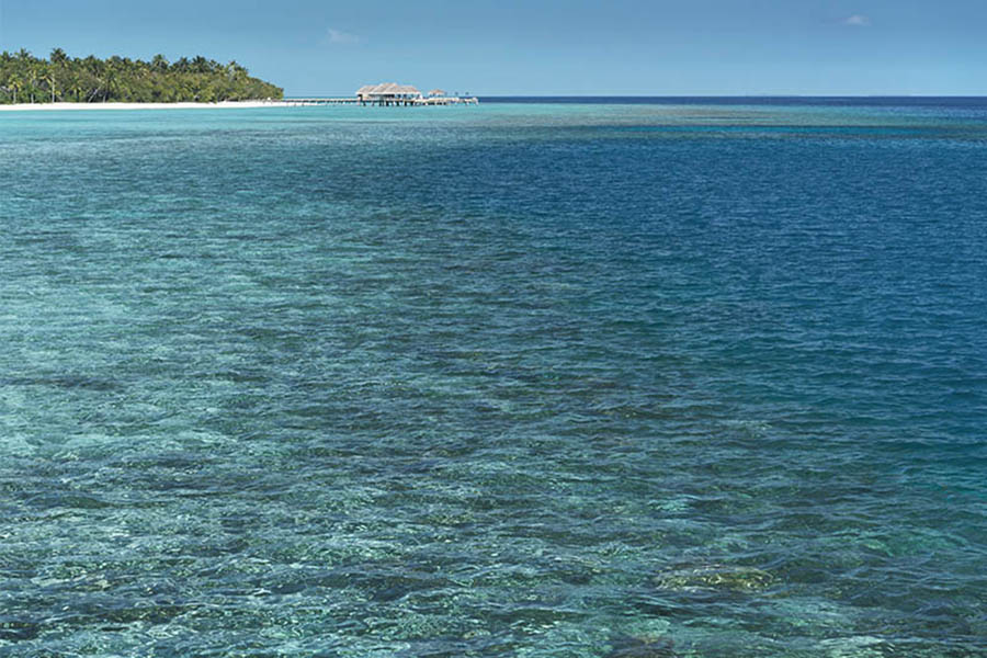瓦卡鲁 - 泻湖酒吧图片4 - Vakkaru Maldives Lagoon Bar Photo 4
