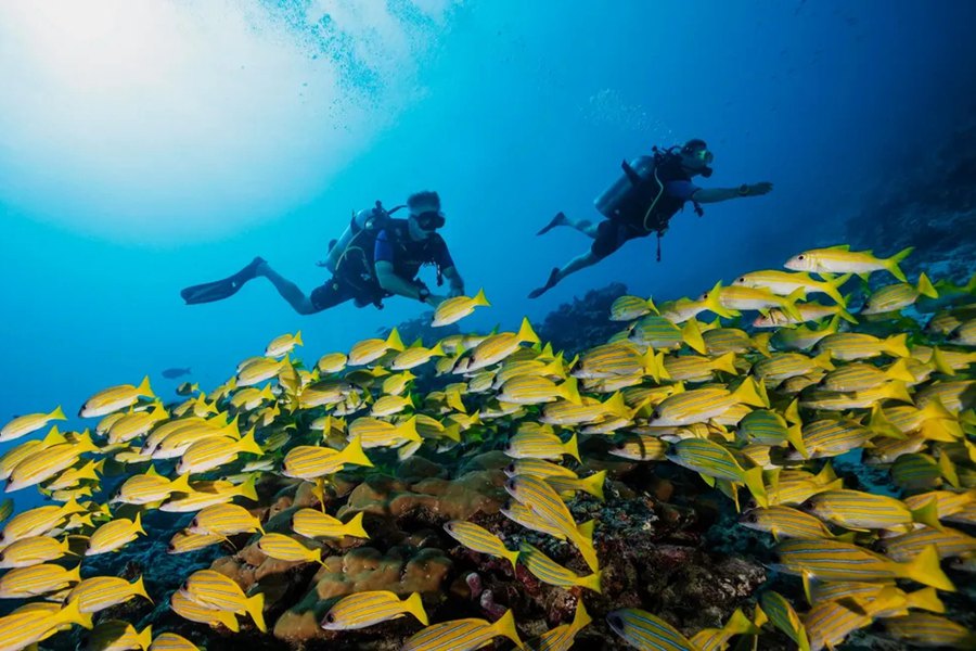 瑞提拉唯一 - 探险和活动图片2 - One&Only Reethi Rah Adventures & Activities Photo 2