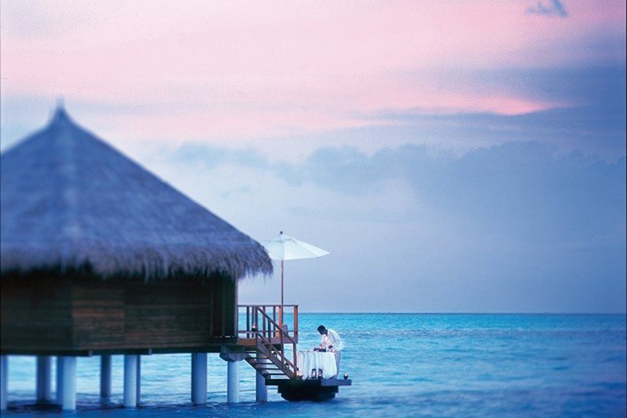 泰姬珍品 - 豪华泻湖泳池别墅图片3 - Taj Exotica Resort & Spa Deluxe Lagoon Villas with Pool Photo 3