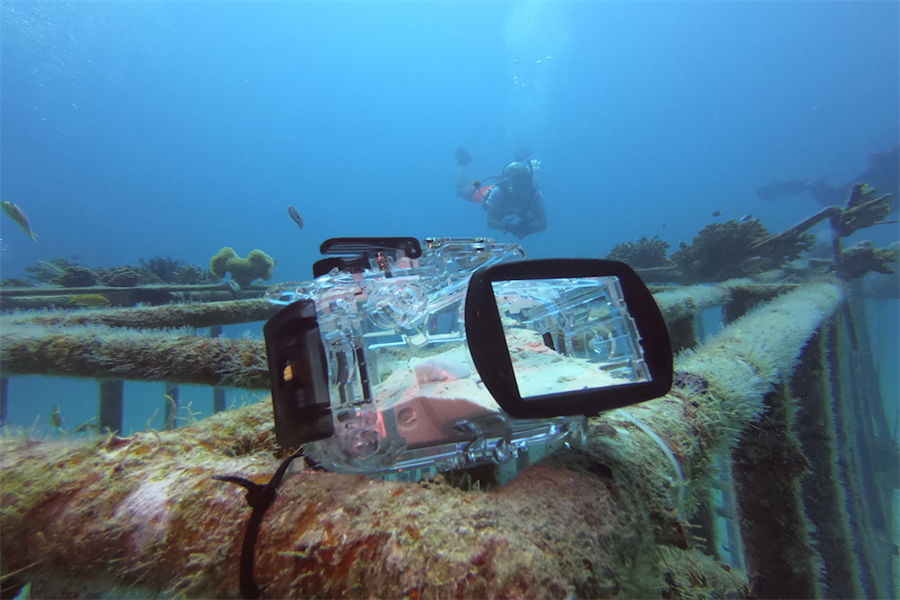 瑞提法鲁 - 潜水图片2 - Reethi Faru Resort Diving Photo 2