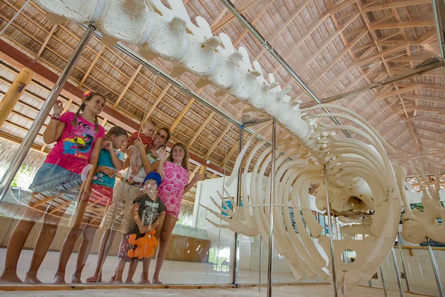 库拉玛蒂 - 儿童俱乐部图片2 - Kuramathi Resort Maldives Bageecha Kids Club Photo 2