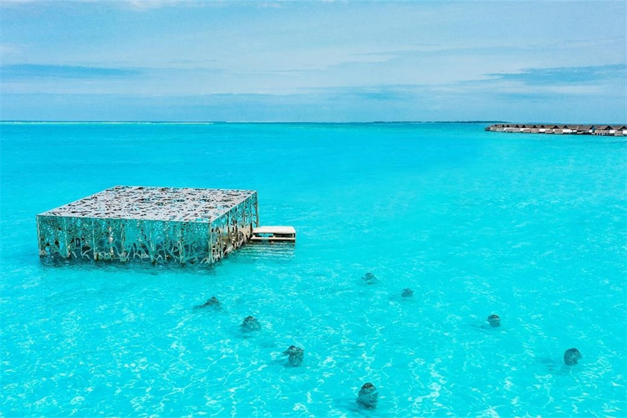 斯茹芬富士 - 半潜式艺术馆图片1 - Sirru Fen Fushi-Private Lagoon Resort  Art Gallery Photo 1