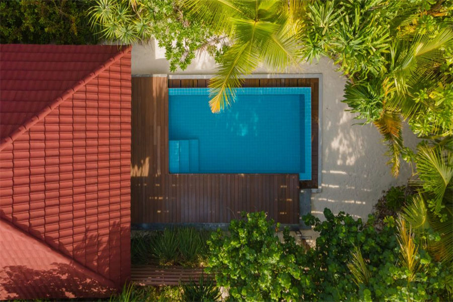 迪古法鲁 - 海滩泳池别墅图片3 - Dhigufaru Veli Pool Villa Photo 3