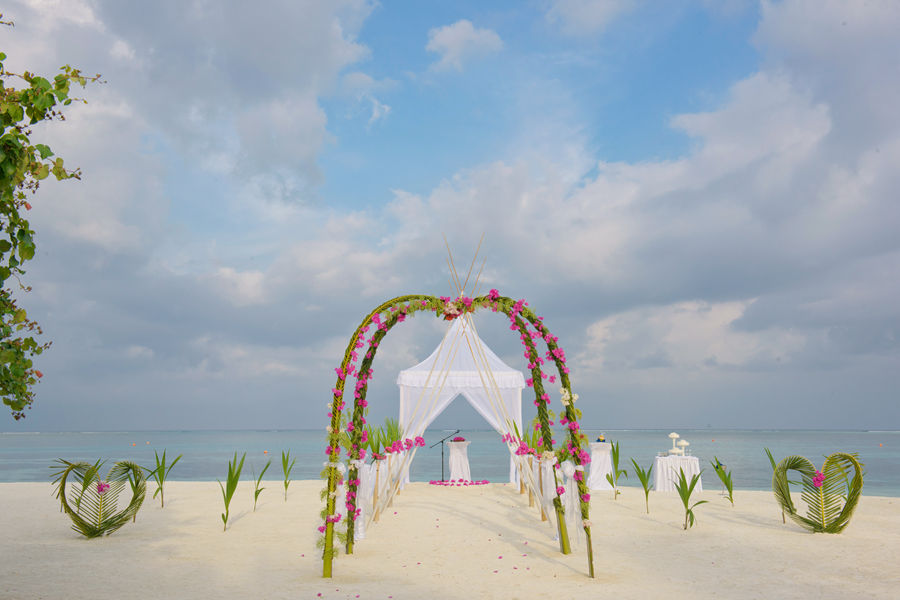双鱼 - 婚礼和庆典图片3 - Sun Siyam Olhuveli Weddings & Celebrations Photo 3