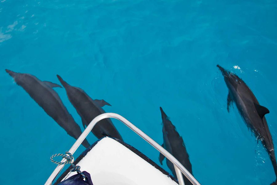 斯茹芬富士 - 水上活动和潜水图片2 - Sirru Fen Fushi-Private Lagoon Resort  Dive Centre Photo 2