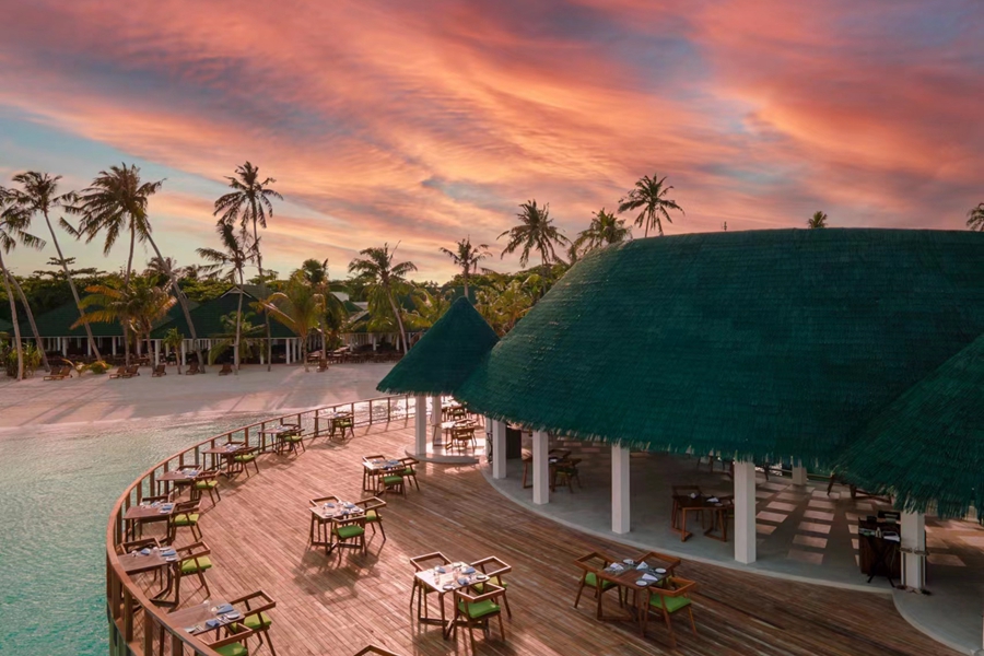 禧亚世嘉 - 印度餐厅图片1 - Siyam World Maldives Kurry Leaf Photo 1