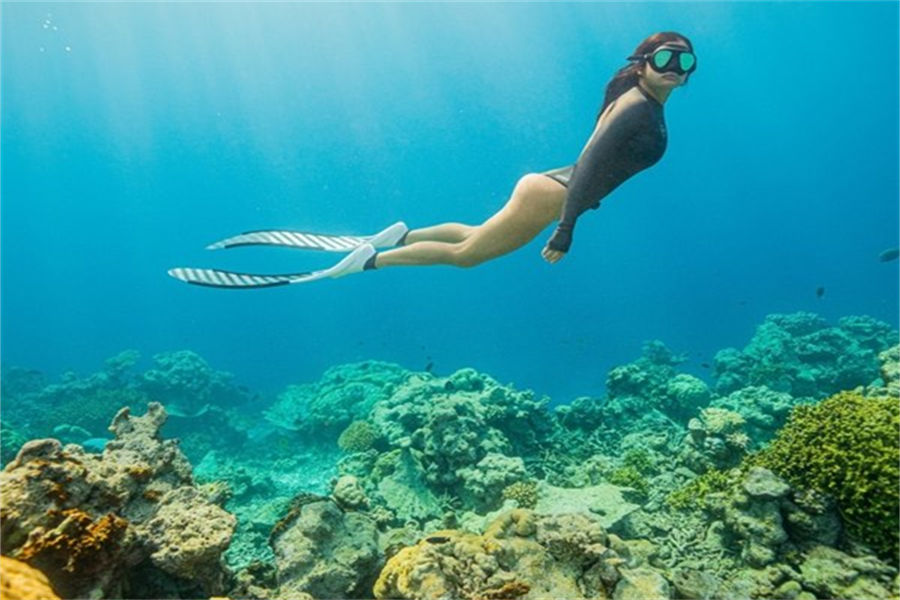 莱佛士 - 浮潜图片4 - Raffles Maldives Meradhoo Diving Photo 4